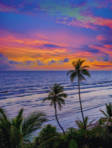 North Goa luxury villas